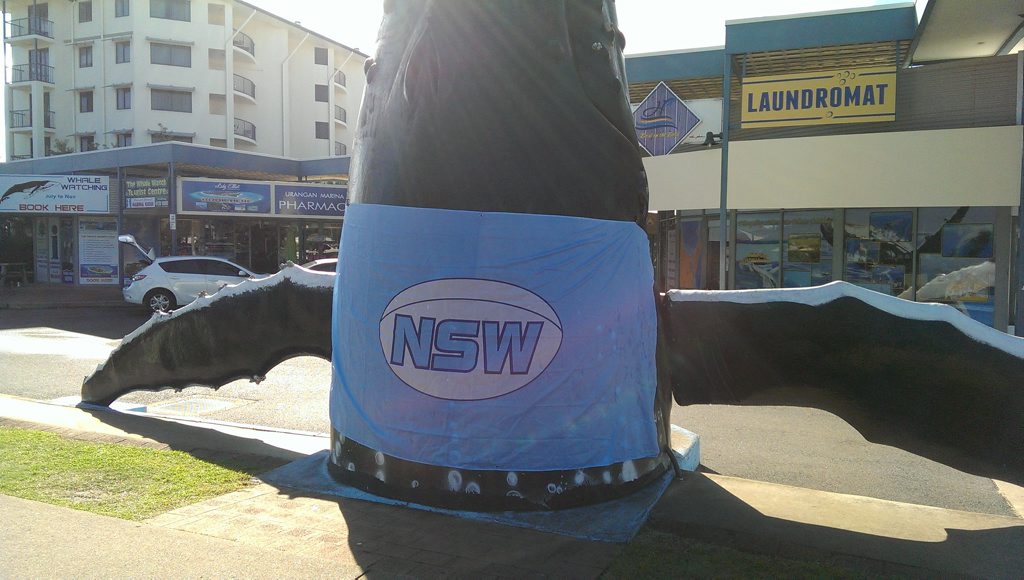 A Fraser Coast Blues fan has celebrated New South Wale's win by hanging Blue Origin flags around the area. A Fraser Coast Blues fan has celebrated New South Wale's win by hanging Blue Origin flags around the area.